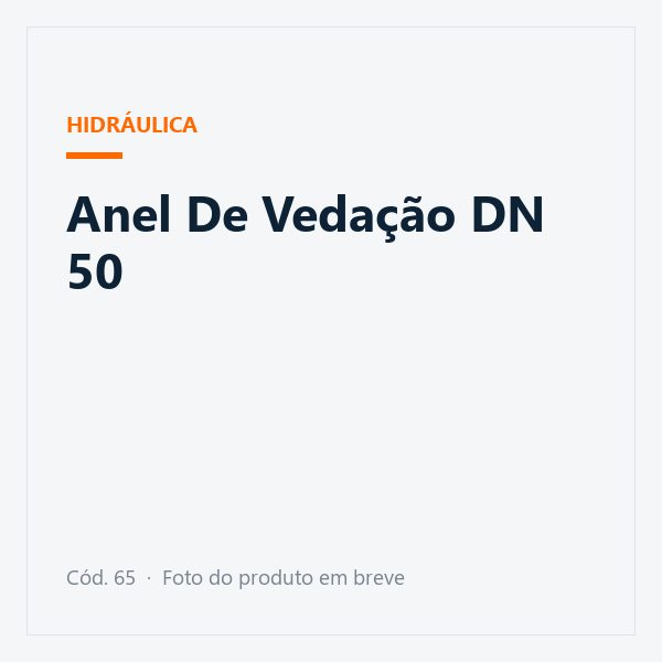 Anel De Vedação DN 50