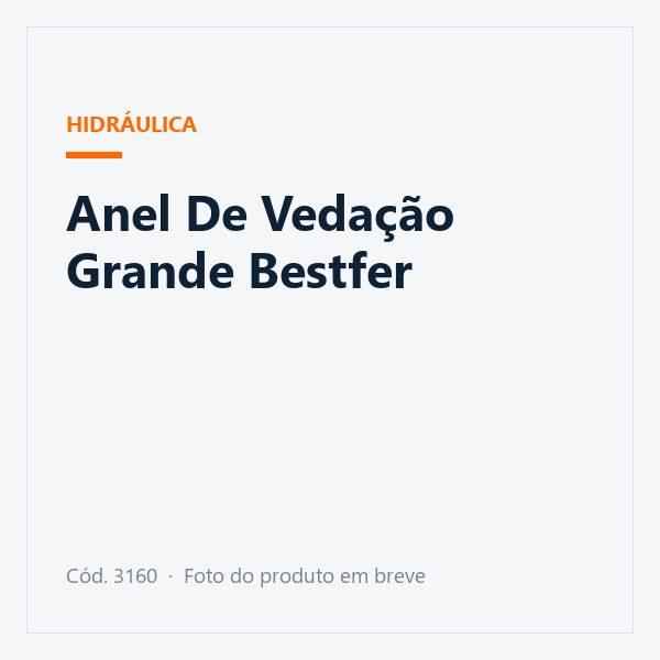 Anel De Vedação Grande Bestfer